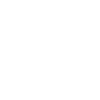 FLASH ICON