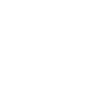 SHINY ICON