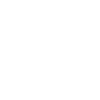 SCHIELD ICON