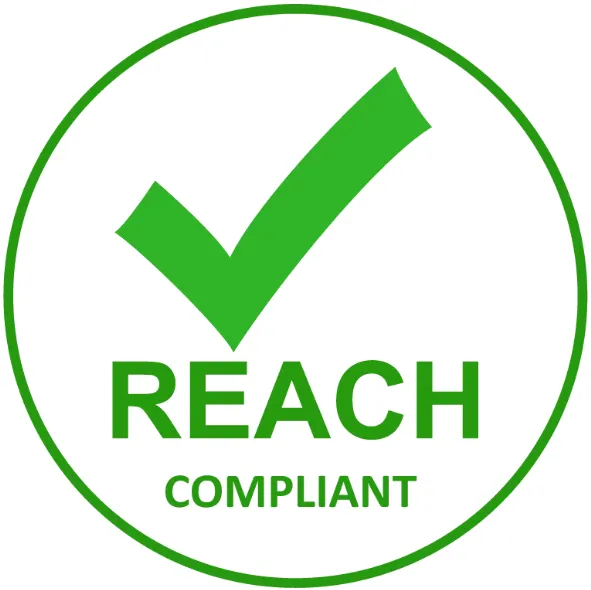 REACH LOGO